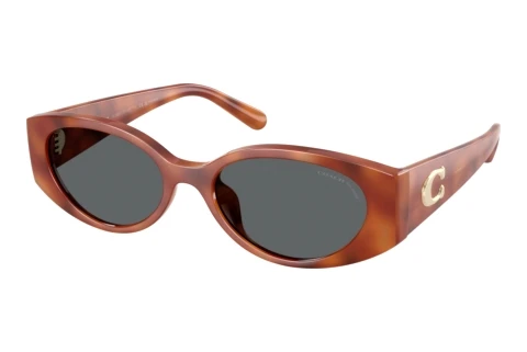 Lunettes de soleil Coach CFU06 (HC8462U 577481)