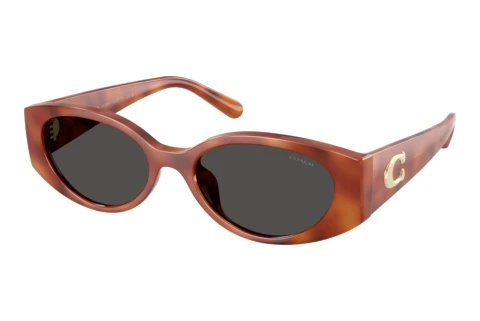 Lunettes de soleil Coach CFU06 (HC8462U 577487)