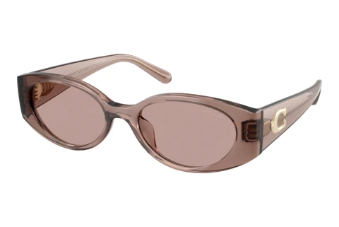 Lunettes de soleil Coach CFU06 (HC8462U 59627N)