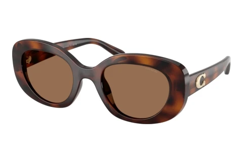 Lunettes de soleil Coach CFU08 (HC8463U 512073)