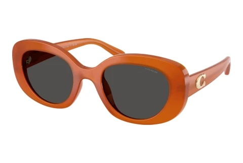 Lunettes de soleil Coach CFU08 (HC8463U 593087)