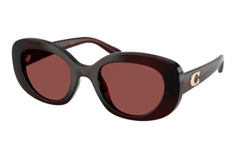 Lunettes de soleil Coach CFU08 (HC8463U 596375)