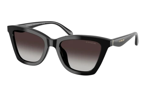 Lunettes de soleil Coach CFU10 (HC8464U 50028G)