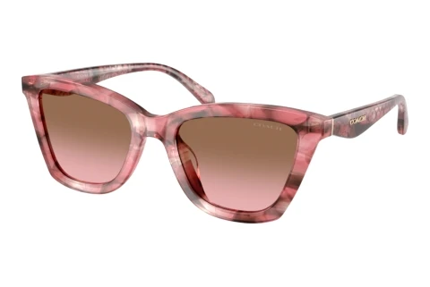Lunettes de soleil Coach CFU10 (HC8464U 596414)