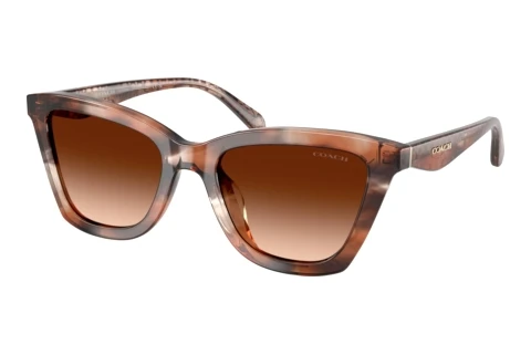 Lunettes de soleil Coach CFU10 (HC8464U 596574)