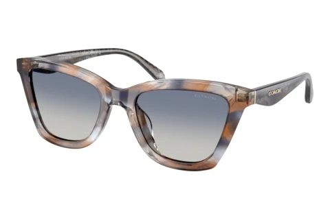 Lunettes de soleil Coach CFU10 (HC8464U 596614)