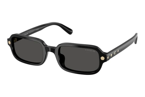 Lunettes de soleil Coach CFU11 (HC8465U 500287)