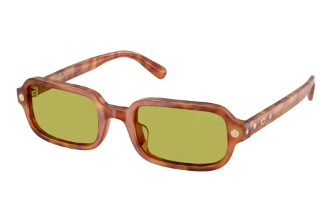 Lunettes de soleil Coach CFU11 (HC8465U 5774/2)