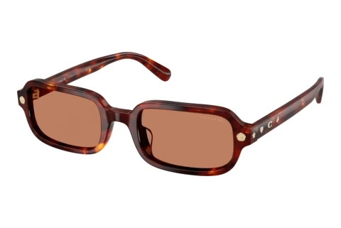 Lunettes de soleil Coach CFU11 (HC8465U 593873)