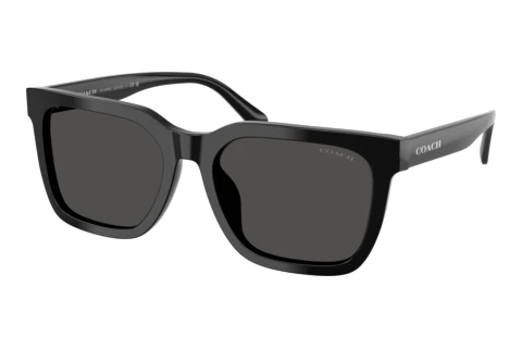 Lunettes de soleil Coach CFU12 (HC8466U 500287)