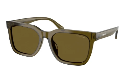 Lunettes de soleil Coach CFU12 (HC8466U 591073)
