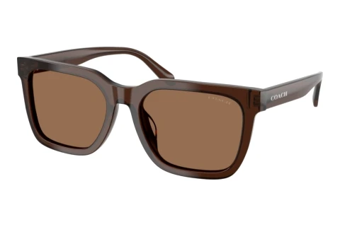 Lunettes de soleil Coach CFU12 (HC8466U 597373)