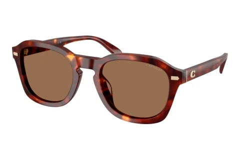 Lunettes de soleil Coach CFU14 (HC8467U 593873)