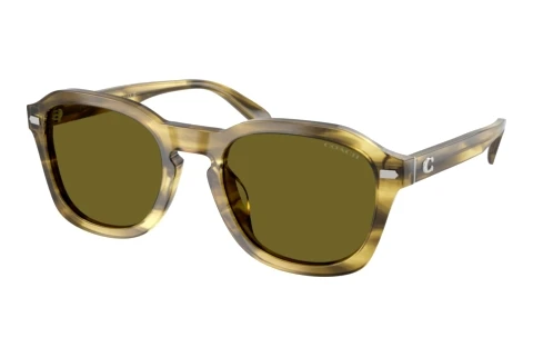 Lunettes de soleil Coach CFU14 (HC8467U 5945/2)