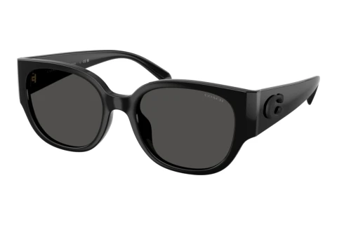 Lunettes de soleil Coach CFU17 (HC8469D 500287)