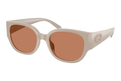 Lunettes de soleil Coach CFU17 (HC8469D 5884/3)
