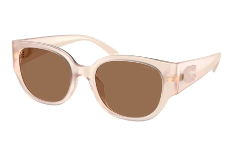 Lunettes de soleil Coach CFU17 (HC8469D 597673)