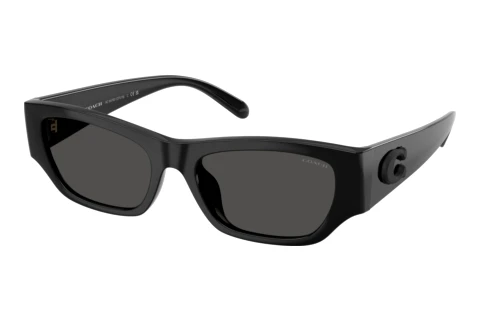 Lunettes de soleil Coach CFU16 (HC8470D 500287)