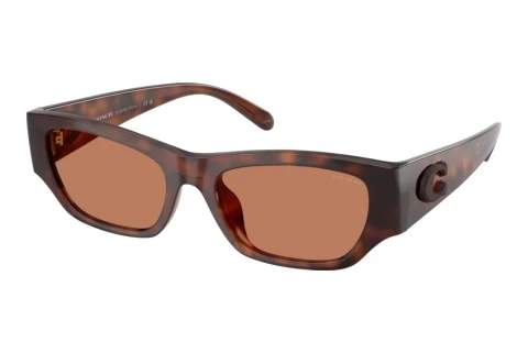 Lunettes de soleil Coach CFU16 (HC8470D 5120/3)