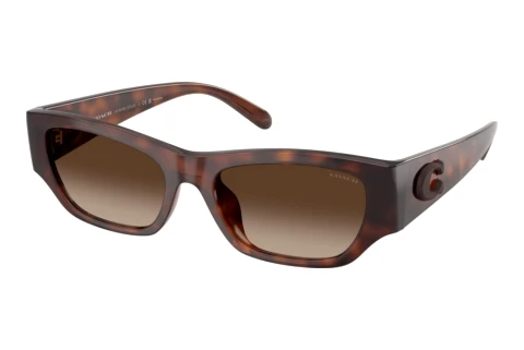 Lunettes de soleil Coach CFU16 (HC8470D 512087)
