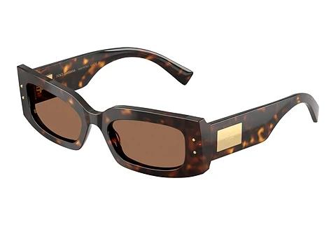 Lunettes de soleil Dolce & Gabbana DG4479 502/73