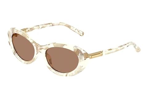 Lunettes de soleil Dolce & Gabbana DG4519 346173