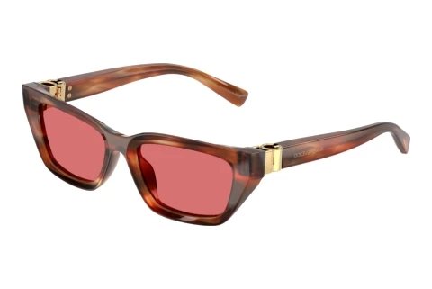 Lunettes de soleil Dolce & Gabbana DG4532 322175