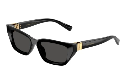 Lunettes de soleil Dolce & Gabbana DG4532 501/87