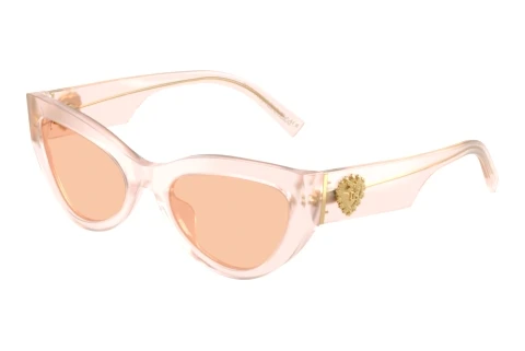 Lunettes de soleil Dolce & Gabbana DG4536 304173