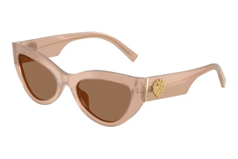 Lunettes de soleil Dolce & Gabbana DG4536 304273