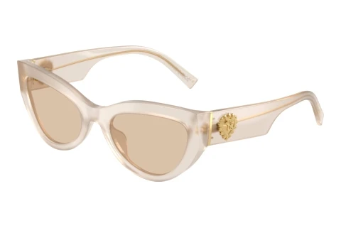 Lunettes de soleil Dolce & Gabbana DG4536 342093
