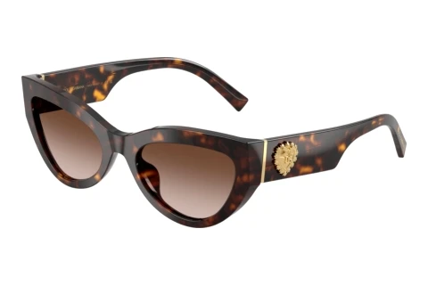 Lunettes de soleil Dolce & Gabbana DG4536 502/13