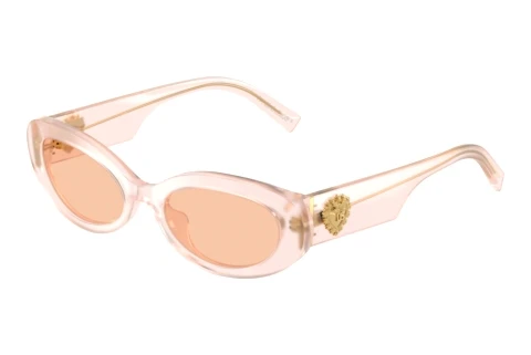 Lunettes de soleil Dolce & Gabbana DG4537 304173
