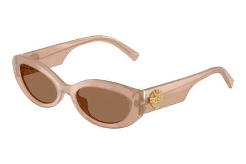 Lunettes de soleil Dolce & Gabbana DG4537 304273