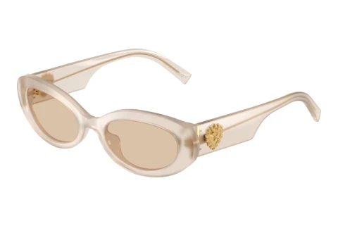 Lunettes de soleil Dolce & Gabbana DG4537 342093
