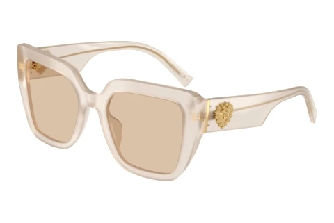 Lunettes de soleil Dolce & Gabbana DG4538 342093