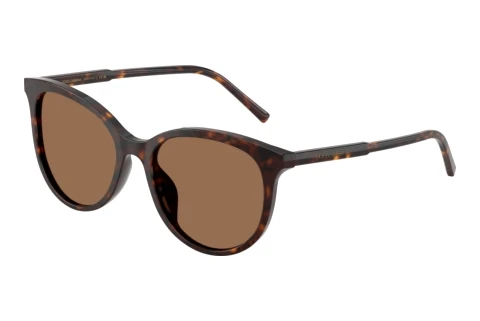Lunettes de soleil Dolce & Gabbana DG4540 502/13