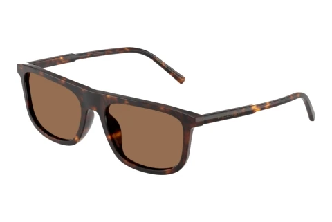Lunettes de soleil Dolce & Gabbana DG4542 502/73