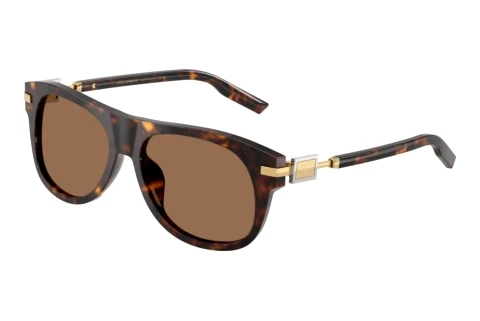 Lunettes de soleil Dolce & Gabbana DG4546 502/73