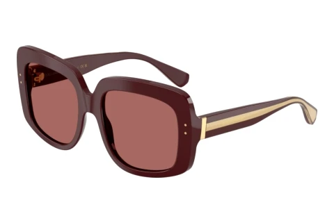 Lunettes de soleil Dolce & Gabbana DG4557 309169