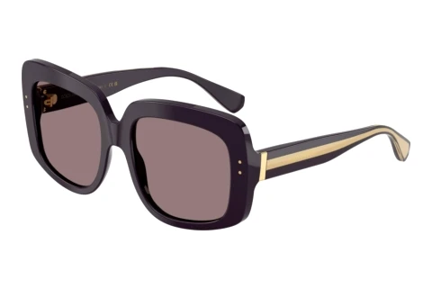 Lunettes de soleil Dolce & Gabbana DG4557 35017N