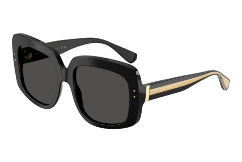 Lunettes de soleil Dolce & Gabbana DG4557 501/87