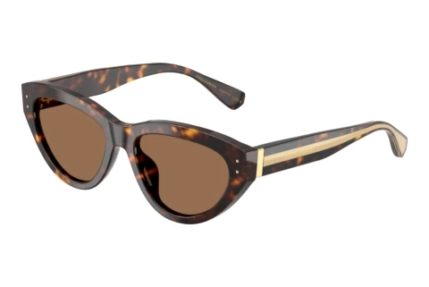 Lunettes de soleil Dolce & Gabbana DG4558 502/73