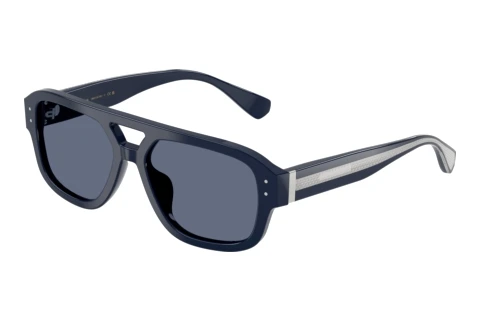Lunettes de soleil Dolce & Gabbana DG4561 328072