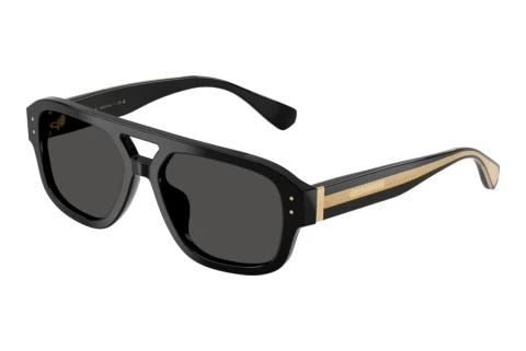 Lunettes de soleil Dolce & Gabbana DG4561 501/87