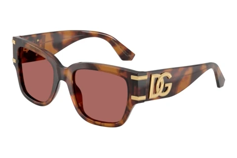 Lunettes de soleil Dolce & Gabbana DG4563 349769