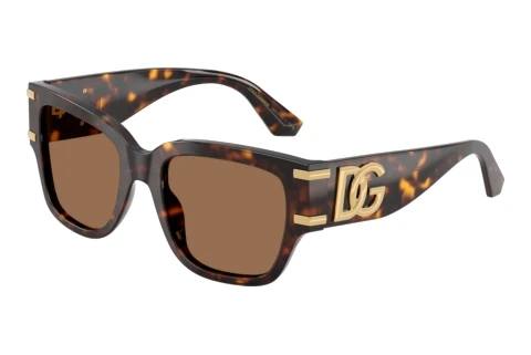 Lunettes de soleil Dolce & Gabbana DG4563 502/73