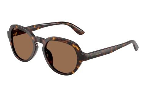 Lunettes de soleil Dolce & Gabbana DG4567 502/73