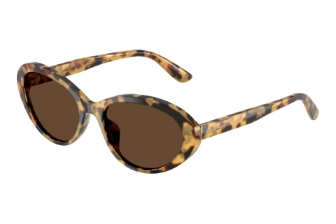 Lunettes de soleil Dolce & Gabbana DG4570 512/73