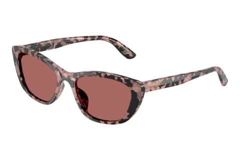 Lunettes de soleil Dolce & Gabbana DG4571 347669